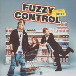 Fuzzy Control : Later